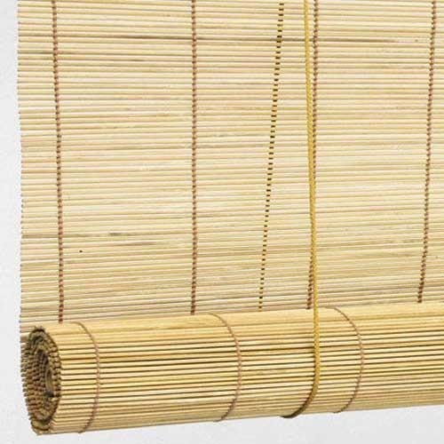 Bamboo and Fancy Chick